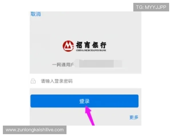 尊龙凯时线上手机版高效登录与账号安全保障全攻略